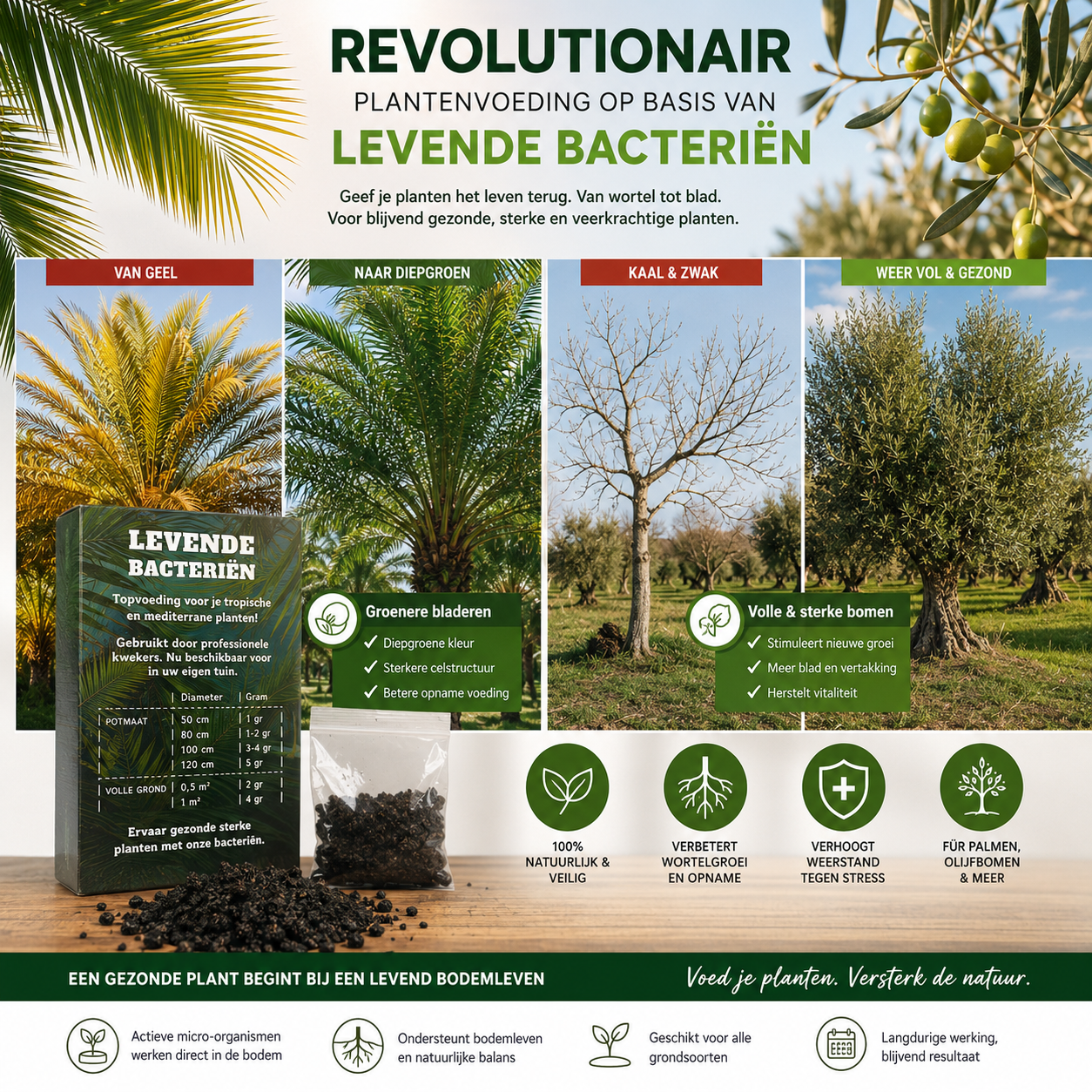Beste Plantenvoeding Kopen, Levende Bacterie & Sporen