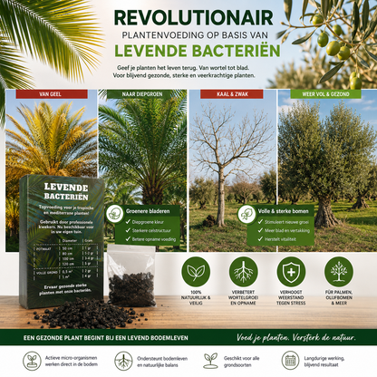 Beste Plantenvoeding Kopen, Levende Bacterie & Sporen