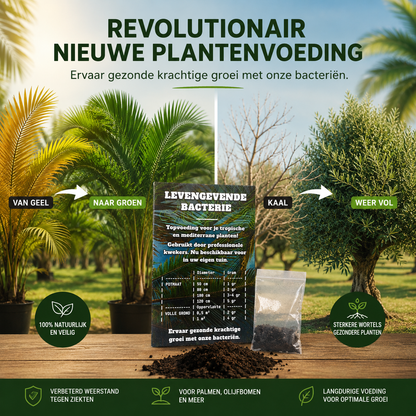Beste Plantenvoeding Kopen, Levende Bacterie & Sporen